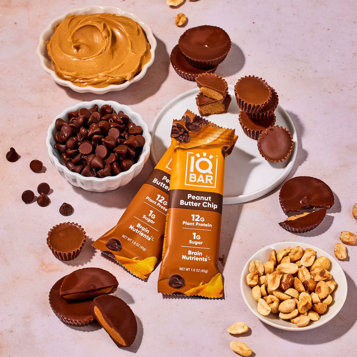 IQBAR Plant Protein Bar, Variety Pack - 12 x 45g